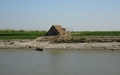 Irrawaddy