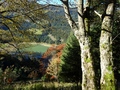 Voralpsee