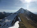 Marmontana