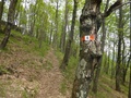 Wandelweg