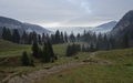 Appenzellerland