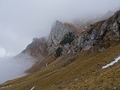 Trüest