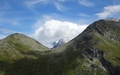 Magehorn, Hübschhorn, Galehorn