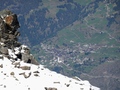 Törbel