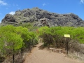 Le Morne Brabant