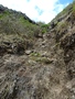Le Morne Brabant