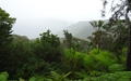 Machabee Trail