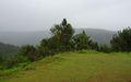 Machabee Trail