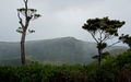 Machabee Trail