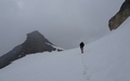 Mettelhorn