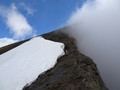 Mettelhorn