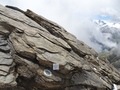 Mettelhorn