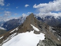 Mettelhorn