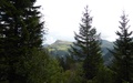 Fanenstock