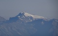 Wildhorn