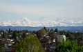 Wetterhorn, Schreckhorn, Finsteraarhorn