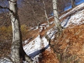 Monte Boglia