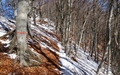 Monte Boglia "cresta segreta"