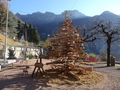 Eigenzinnige Kerstboom