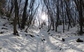 Sneeuw