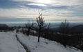 Winterlandschap