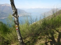 Beklimming van Monte Colmenacco