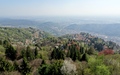Brunate