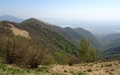 Croce di Maiano