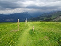 Fronalp