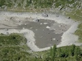 Mittler See (droogstaand) met koeien
