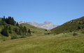Schesaplana