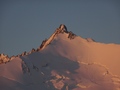 Nadelhorn