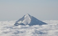 Stellihorn