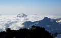 Stellihorn