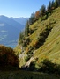 Herfst