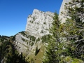 Leistchamm