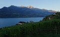Walensee