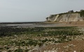 Dumpton Bay