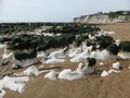 Dumpton Bay