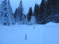 Choltal