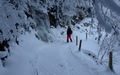 Choltal