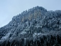 Choltal