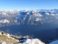Vierwaldstättersee, Rophaien