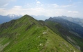 Drunegalm, Niesengrat
