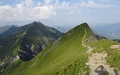 Fromberghore, Niesen