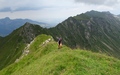 Steischlaghore