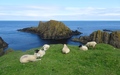 Ballingtoy Harbour