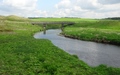 Bush River