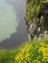 Carrick-a-Rede
