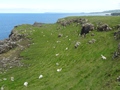 Causeway Coast